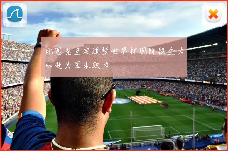 比塞克坚定追梦世界杯现阶段全力以赴为国米效力